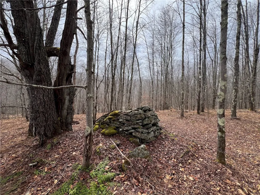 Upper Punchbowl Road, Rockland, New York 12776, Rockland, New York 12776, ,Land,For Sale,Upper Punchbowl Road, Rockland, New York 12776,R1598631