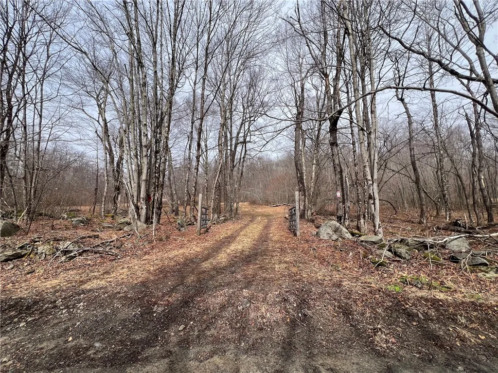 Upper Punchbowl Road, Rockland, New York 12776, Rockland, New York 12776, ,Land,For Sale,Upper Punchbowl Road, Rockland, New York 12776,R1598631