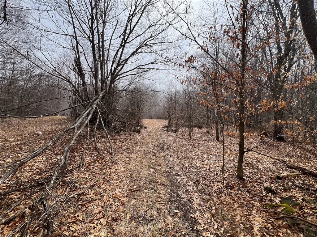 Upper Punchbowl Road, Rockland, New York 12776, Rockland, New York 12776, ,Land,For Sale,Upper Punchbowl Road, Rockland, New York 12776,R1598631