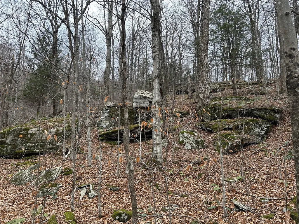 Upper Punchbowl Road, Rockland, New York 12776, Rockland, New York 12776, ,Land,For Sale,Upper Punchbowl Road, Rockland, New York 12776,R1598631