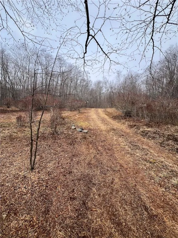 Upper Punchbowl Road, Rockland, New York 12776, Rockland, New York 12776, ,Land,For Sale,Upper Punchbowl Road, Rockland, New York 12776,R1598631