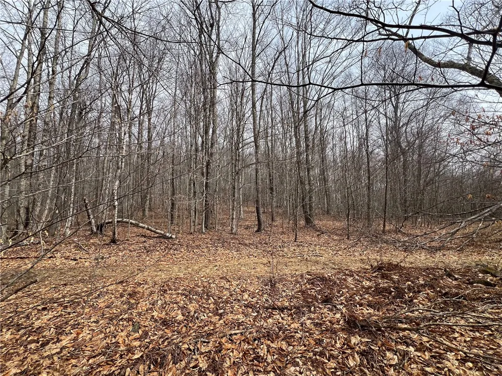 Upper Punchbowl Road, Rockland, New York 12776, Rockland, New York 12776, ,Land,For Sale,Upper Punchbowl Road, Rockland, New York 12776,R1598631