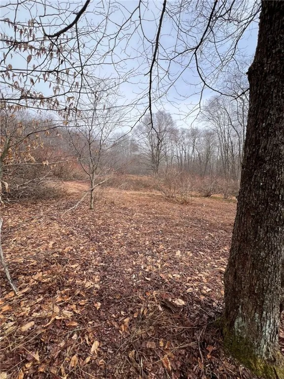 Upper Punchbowl Road, Rockland, New York 12776, Rockland, New York 12776, ,Land,For Sale,Upper Punchbowl Road, Rockland, New York 12776,R1598631