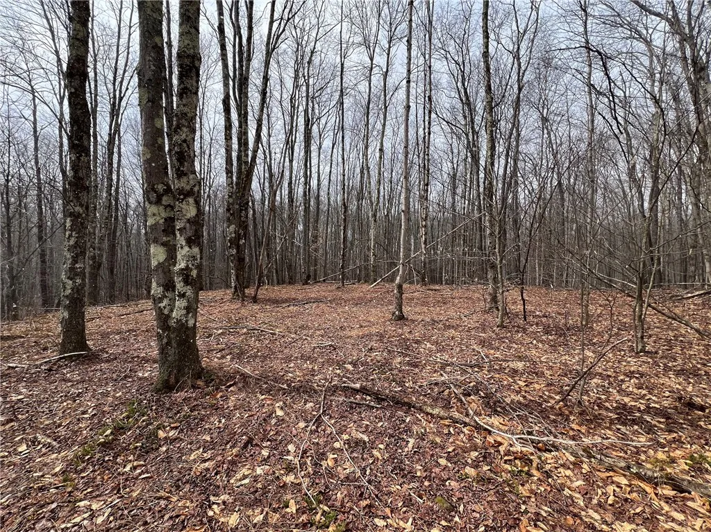 Upper Punchbowl Road, Rockland, New York 12776, Rockland, New York 12776, ,Land,For Sale,Upper Punchbowl Road, Rockland, New York 12776,R1598631