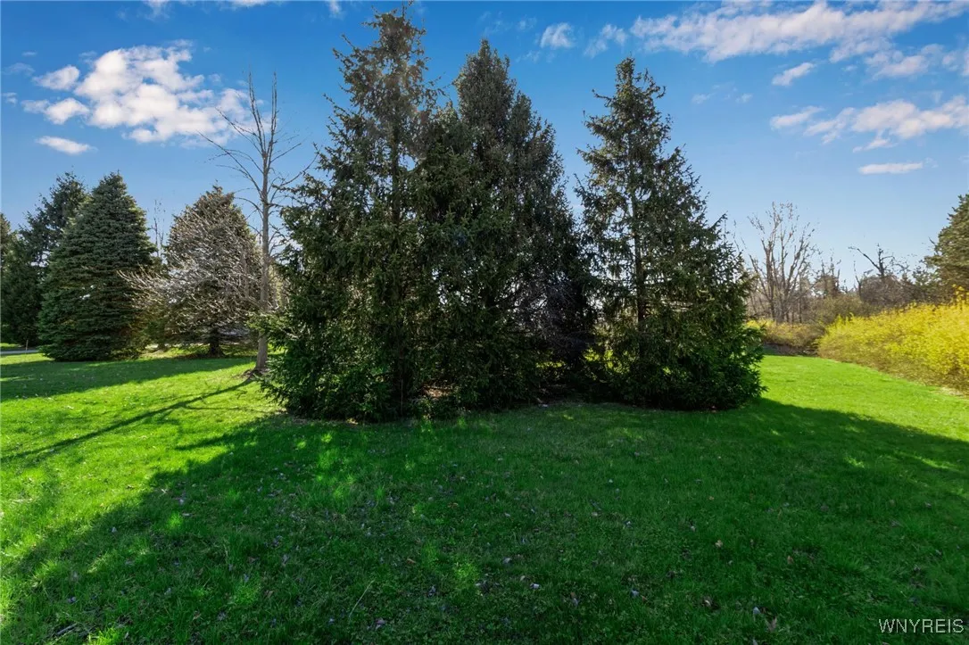 9545 Turnstone Drive, Clarence, New York 14031, Clarence, New York 14031, ,Land,For Sale,9545 Turnstone Drive, Clarence, New York 14031,0,B1601699