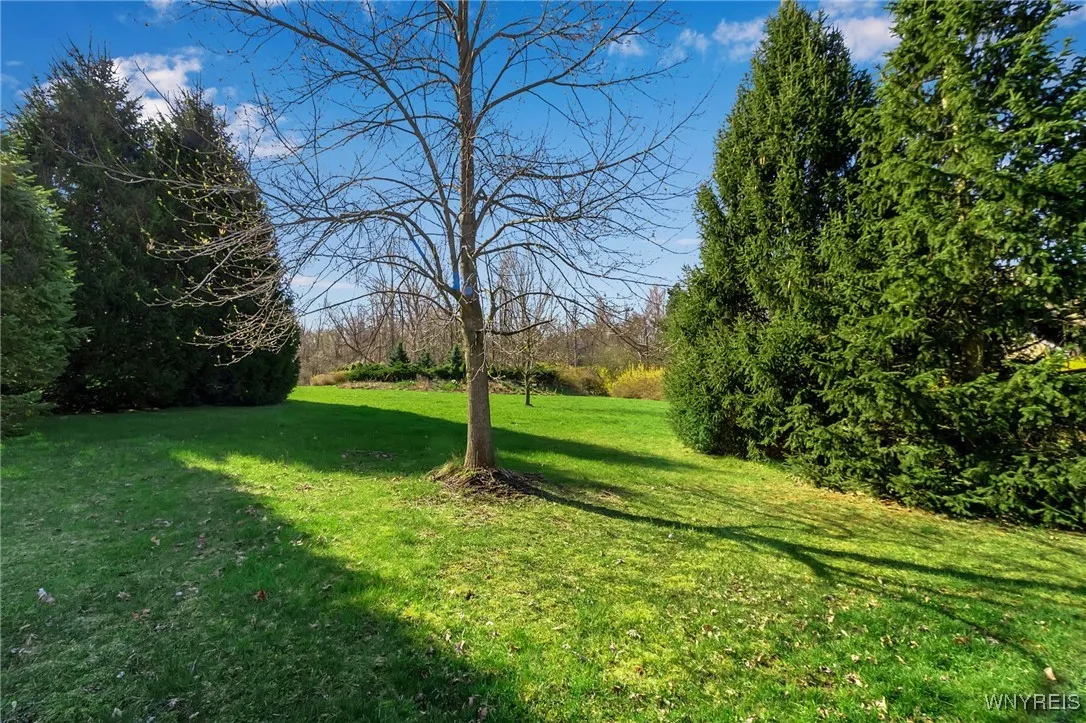 9545 Turnstone Drive, Clarence, New York 14031, Clarence, New York 14031, ,Land,For Sale,9545 Turnstone Drive, Clarence, New York 14031,0,B1601699