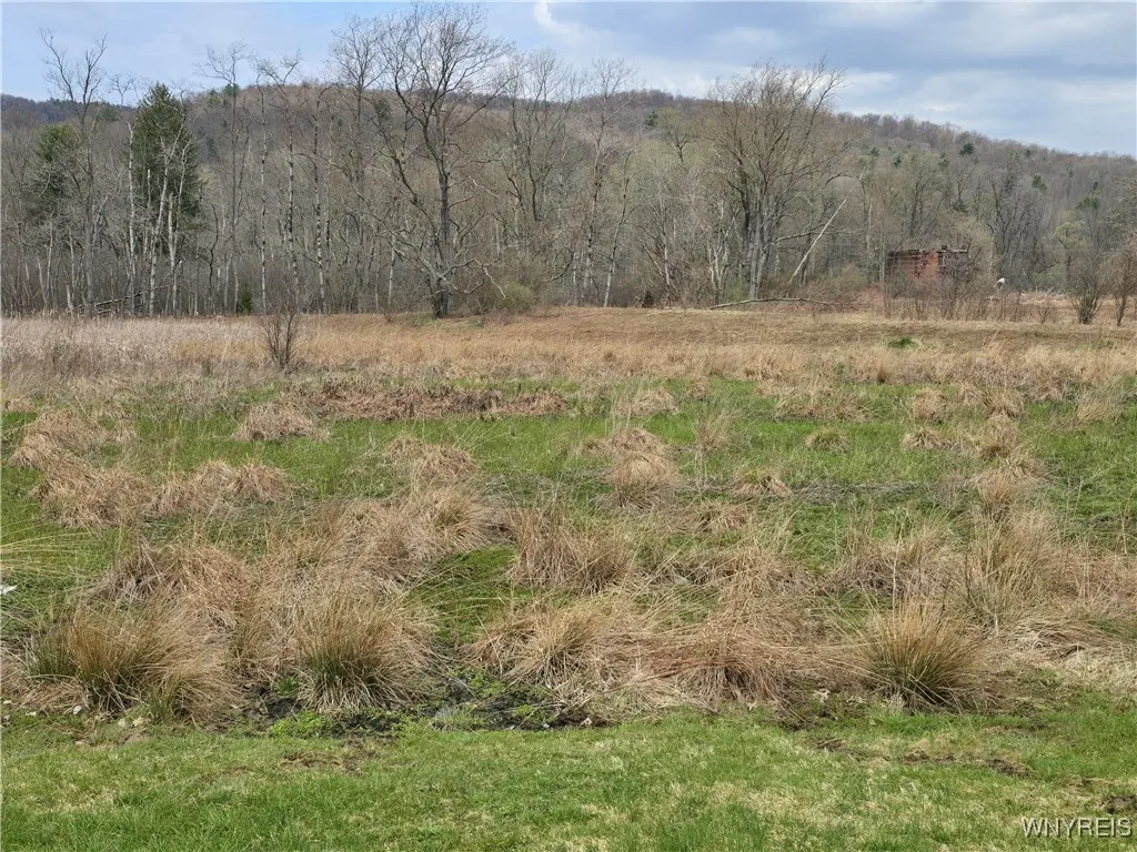 577 South Main Street, Bolivar, New York 14715, Bolivar, New York 14715, 3 Bedrooms Bedrooms, 5 Rooms Rooms,1 BathroomBathrooms,Residential,Closed,577 South Main Street, Bolivar, New York 14715,0,B1601800