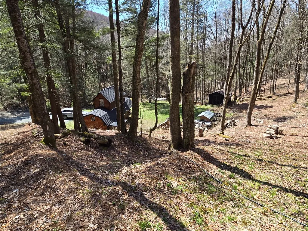0 Snake Creek Road, Hancock, New York 13783, Hancock, New York 13783, 1 Bedroom Bedrooms, 2 Rooms Rooms,1 BathroomBathrooms,Residential,Closed,0 Snake Creek Road, Hancock, New York 13783,0,R1600961