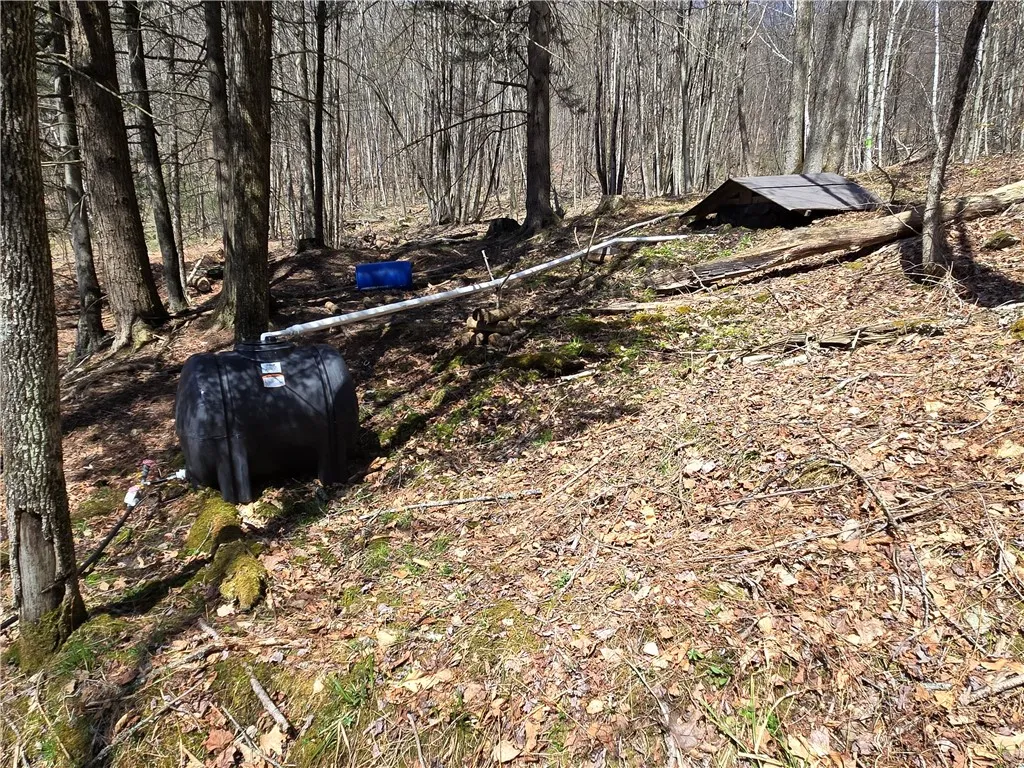 0 Snake Creek Road, Hancock, New York 13783, Hancock, New York 13783, 1 Bedroom Bedrooms, 2 Rooms Rooms,1 BathroomBathrooms,Residential,Closed,0 Snake Creek Road, Hancock, New York 13783,0,R1600961