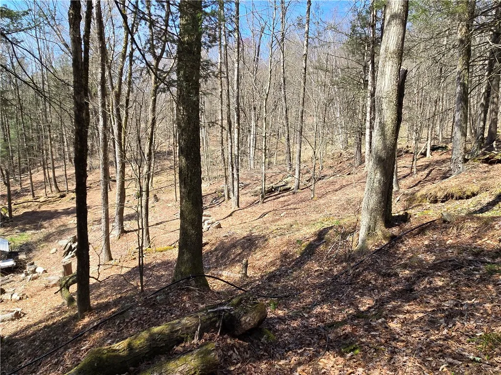 0 Snake Creek Road, Hancock, New York 13783, Hancock, New York 13783, 1 Bedroom Bedrooms, 2 Rooms Rooms,1 BathroomBathrooms,Residential,Closed,0 Snake Creek Road, Hancock, New York 13783,0,R1600961