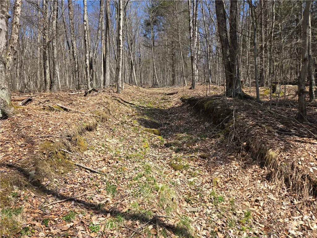 0 Snake Creek Road, Hancock, New York 13783, Hancock, New York 13783, 1 Bedroom Bedrooms, 2 Rooms Rooms,1 BathroomBathrooms,Residential,Closed,0 Snake Creek Road, Hancock, New York 13783,0,R1600961