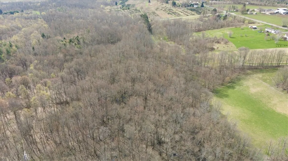 3633 Warner Rd Road, Marion, New York 14505, Marion, New York 14505, ,Land,For Sale,3633 Warner Rd Road, Marion, New York 14505,R1601533