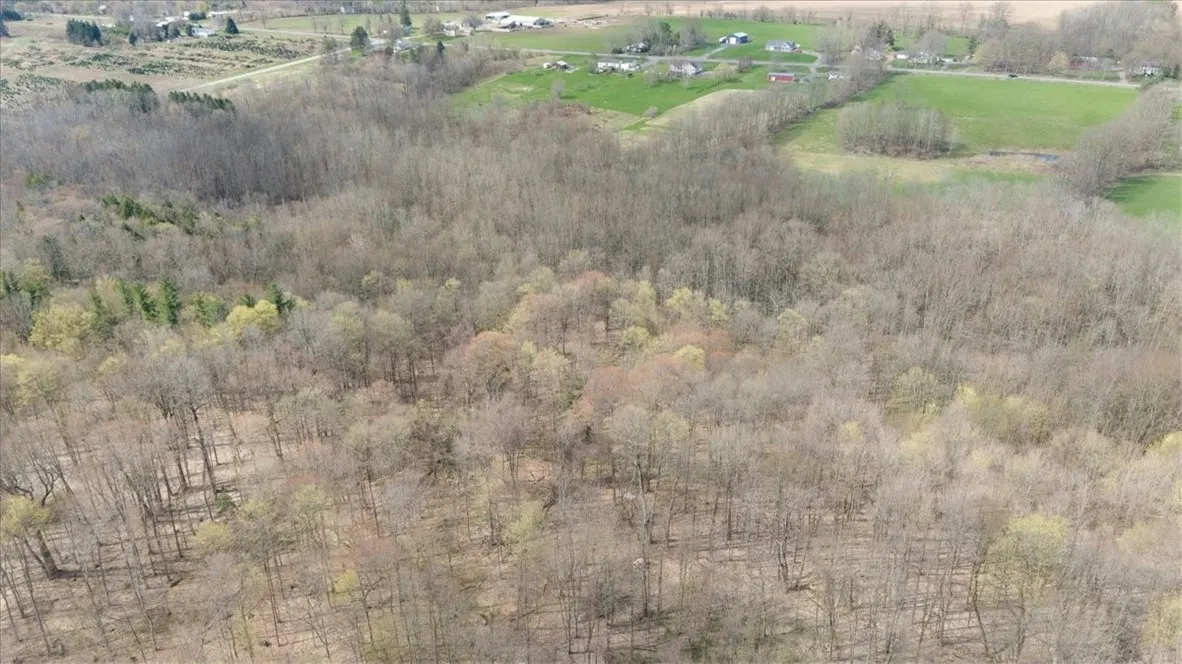 3633 Warner Rd Road, Marion, New York 14505, Marion, New York 14505, ,Land,For Sale,3633 Warner Rd Road, Marion, New York 14505,R1601533