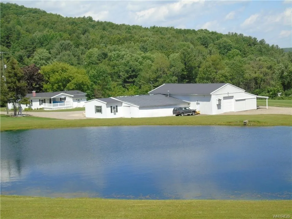 Pond