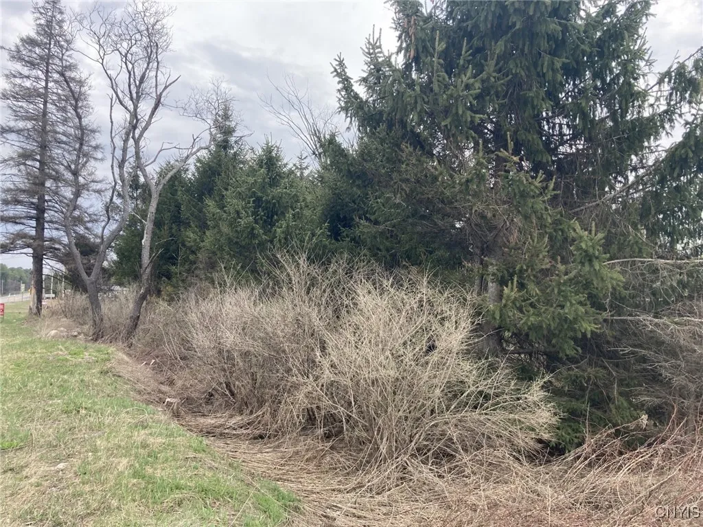 11333 State Route 12, Boonville, New York 13309, Boonville, New York 13309, ,Commercial Sale,For Sale,11333 State Route 12, Boonville, New York 13309,0,S1602177