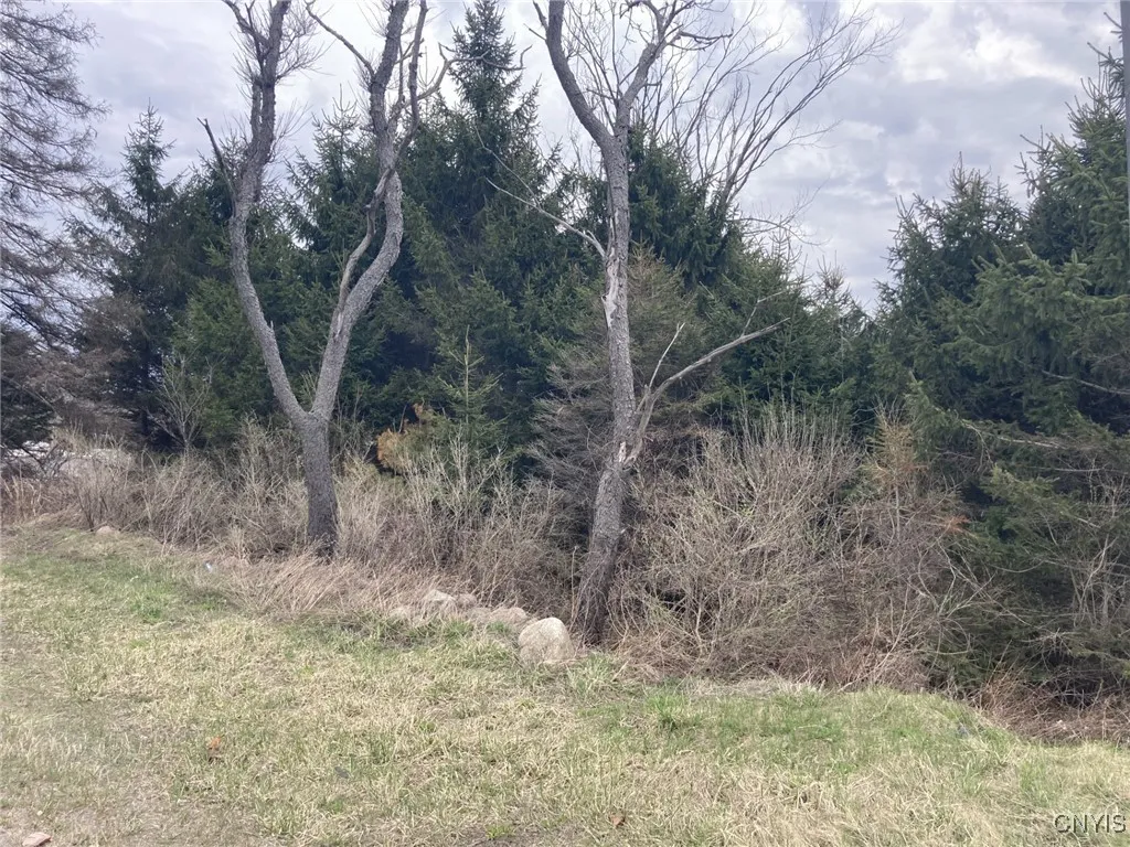 11333 State Route 12, Boonville, New York 13309, Boonville, New York 13309, ,Commercial Sale,For Sale,11333 State Route 12, Boonville, New York 13309,0,S1602177