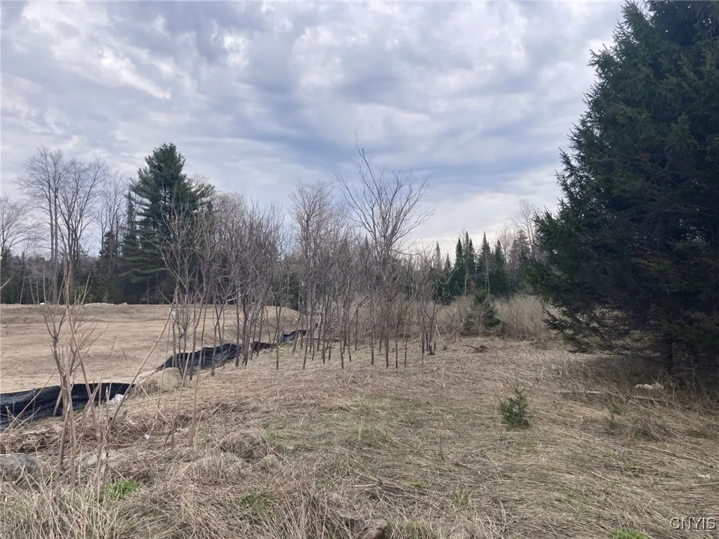 11333 State Route 12, Boonville, New York 13309, Boonville, New York 13309, ,Commercial Sale,For Sale,11333 State Route 12, Boonville, New York 13309,0,S1602177