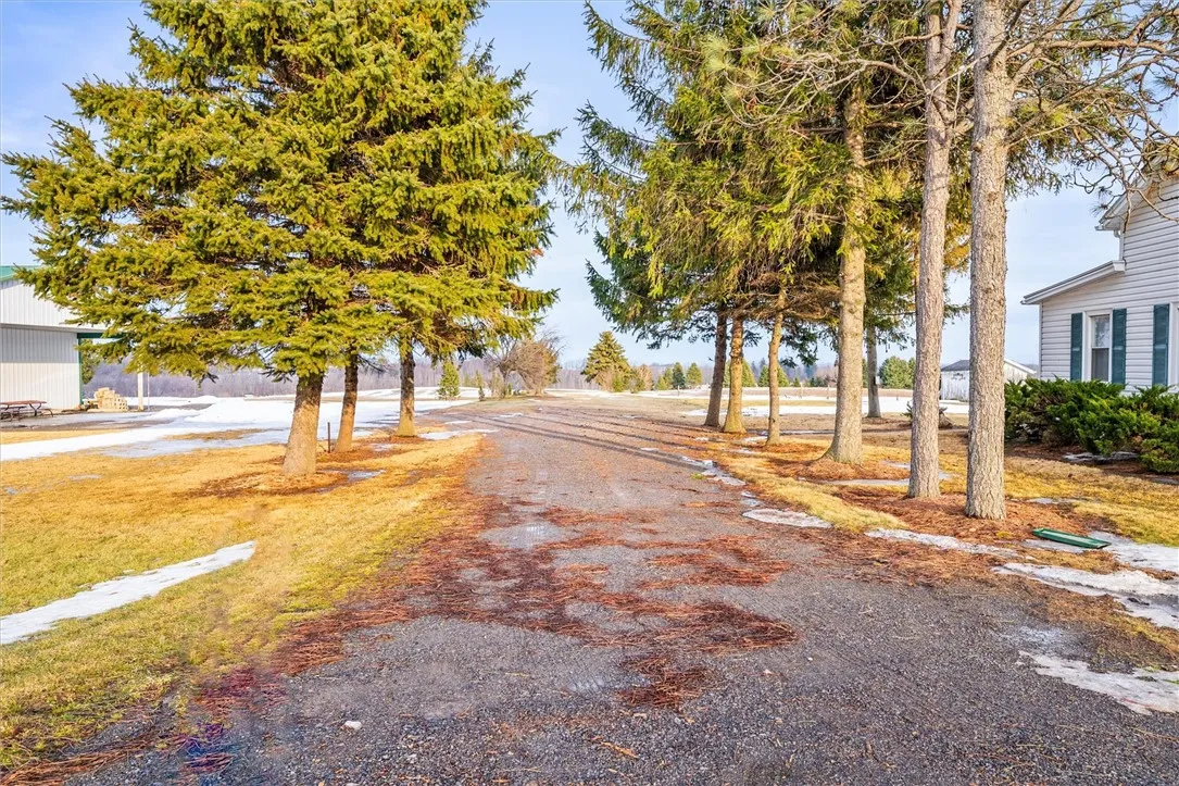 2481 County Road 20, Phelps, New York 14432, Phelps, New York 14432, 3 Bedrooms Bedrooms, 9 Rooms Rooms,1 BathroomBathrooms,Residential,Closed,2481 County Road 20, Phelps, New York 14432,0,R1602210