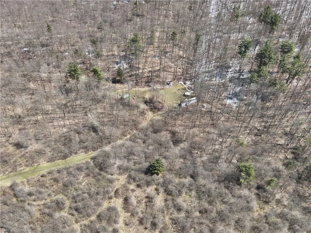 V/l Bunker Hill Road, Cold Spring, New York 14772, Cold Spring, New York 14772, 2 Bedrooms Bedrooms, ,Land,For Sale,V/l Bunker Hill Road, Cold Spring, New York 14772,0,R1602299