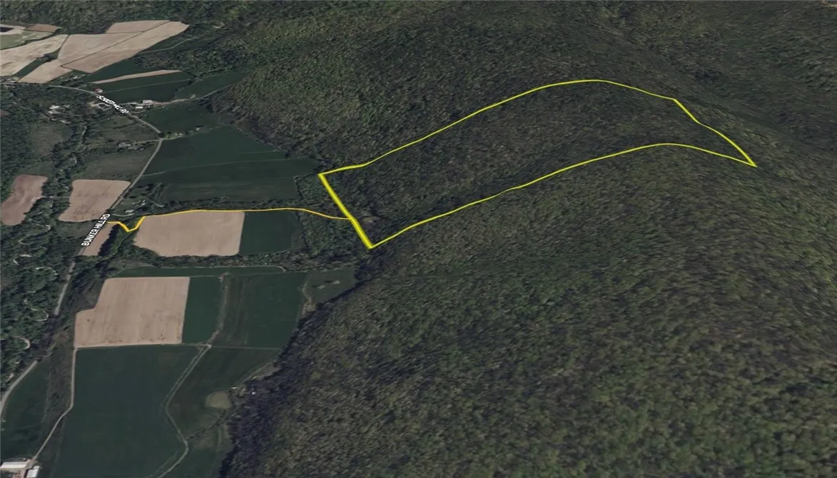 V/l Bunker Hill Road, Cold Spring, New York 14772, Cold Spring, New York 14772, 2 Bedrooms Bedrooms, ,Land,For Sale,V/l Bunker Hill Road, Cold Spring, New York 14772,0,R1602299