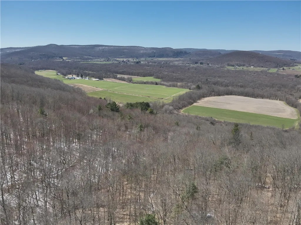 V/l Bunker Hill Road, Cold Spring, New York 14772, Cold Spring, New York 14772, 2 Bedrooms Bedrooms, ,Land,For Sale,V/l Bunker Hill Road, Cold Spring, New York 14772,0,R1602299