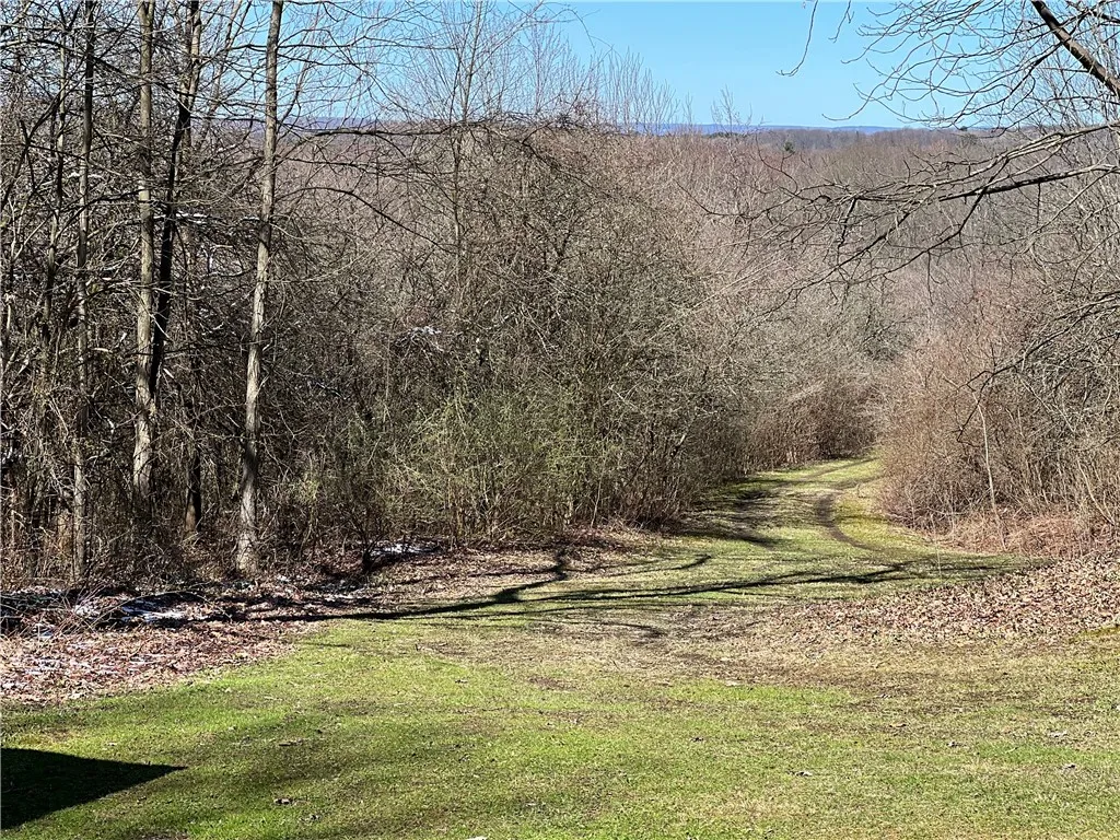 V/l Bunker Hill Road, Cold Spring, New York 14772, Cold Spring, New York 14772, 2 Bedrooms Bedrooms, ,Land,For Sale,V/l Bunker Hill Road, Cold Spring, New York 14772,0,R1602299