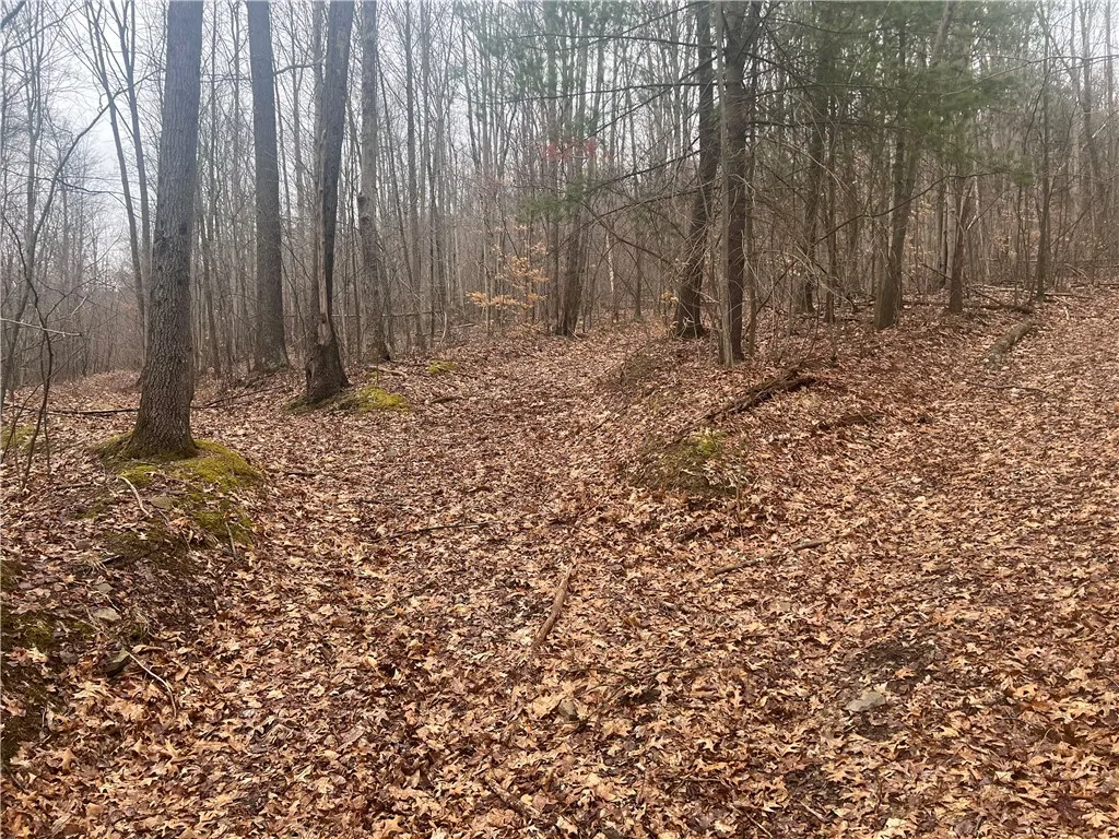 V/l Bunker Hill Road, Cold Spring, New York 14772, Cold Spring, New York 14772, 2 Bedrooms Bedrooms, ,Land,For Sale,V/l Bunker Hill Road, Cold Spring, New York 14772,0,R1602299