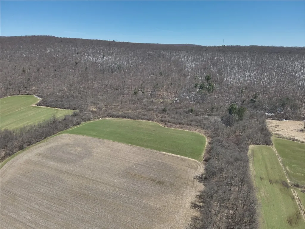 V/l Bunker Hill Road, Cold Spring, New York 14772, Cold Spring, New York 14772, 2 Bedrooms Bedrooms, ,Land,For Sale,V/l Bunker Hill Road, Cold Spring, New York 14772,0,R1602299