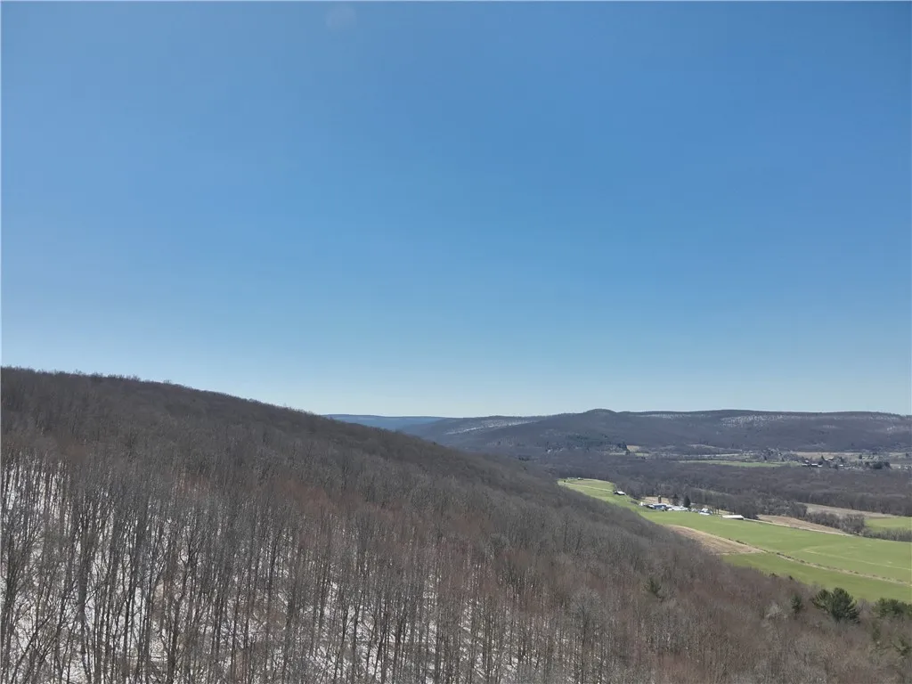 V/l Bunker Hill Road, Cold Spring, New York 14772, Cold Spring, New York 14772, 2 Bedrooms Bedrooms, ,Land,For Sale,V/l Bunker Hill Road, Cold Spring, New York 14772,0,R1602299