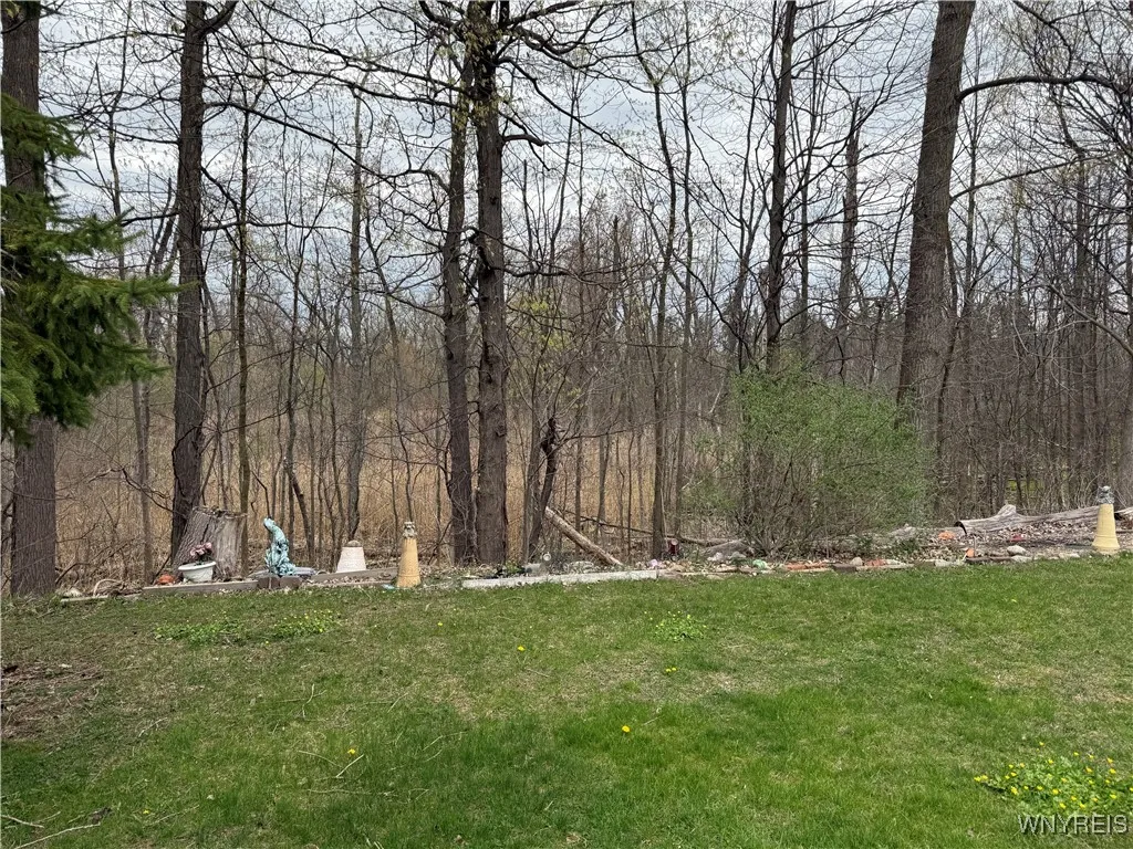 No rear neighbors, except wildlife and nature.