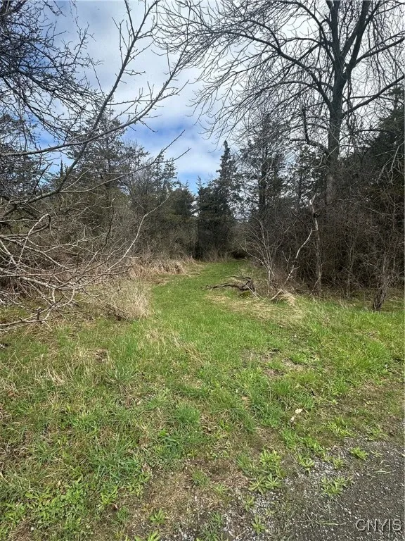 Nutting St Road, Henderson, New York 13650, Henderson, New York 13650, ,Land,Closed,Nutting St Road, Henderson, New York 13650,0,S1602280