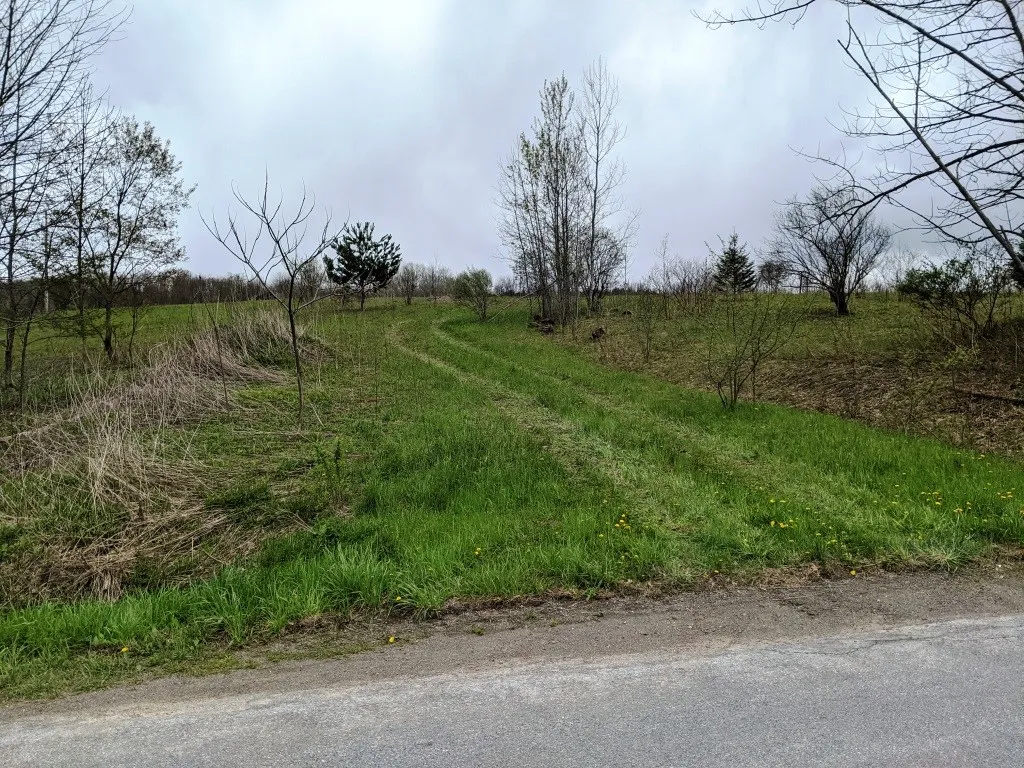 Lot #37.01 County Highway 4, Morris, New York 1380, Morris, New York 13808, ,Land,Closed,Lot #37.01 County Highway 4, Morris, New York 1380,0,R1602486