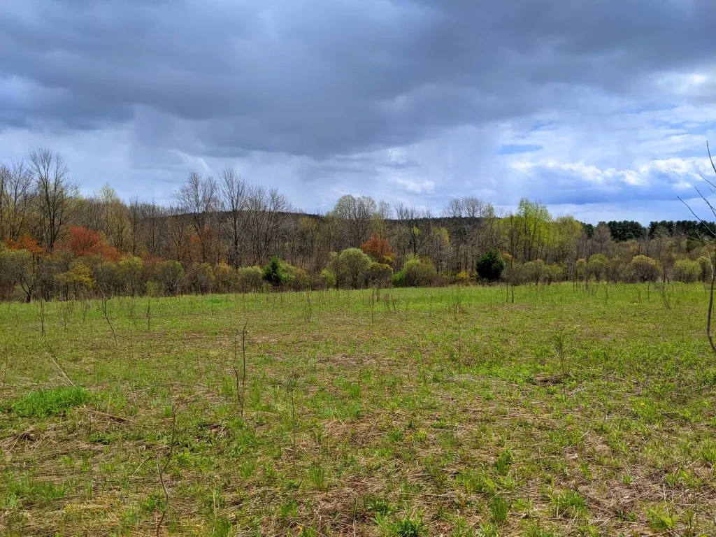 Lot #37.01 County Highway 4, Morris, New York 1380, Morris, New York 13808, ,Land,Closed,Lot #37.01 County Highway 4, Morris, New York 1380,0,R1602486