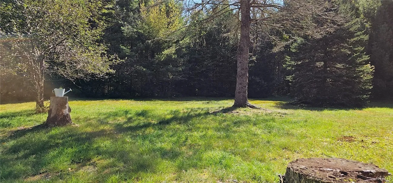 00 Furman Road 42, Boonville, New York 13309, Boonville, New York 13309, ,Land,For Sale,00 Furman Road 42, Boonville, New York 13309,0,S1602009