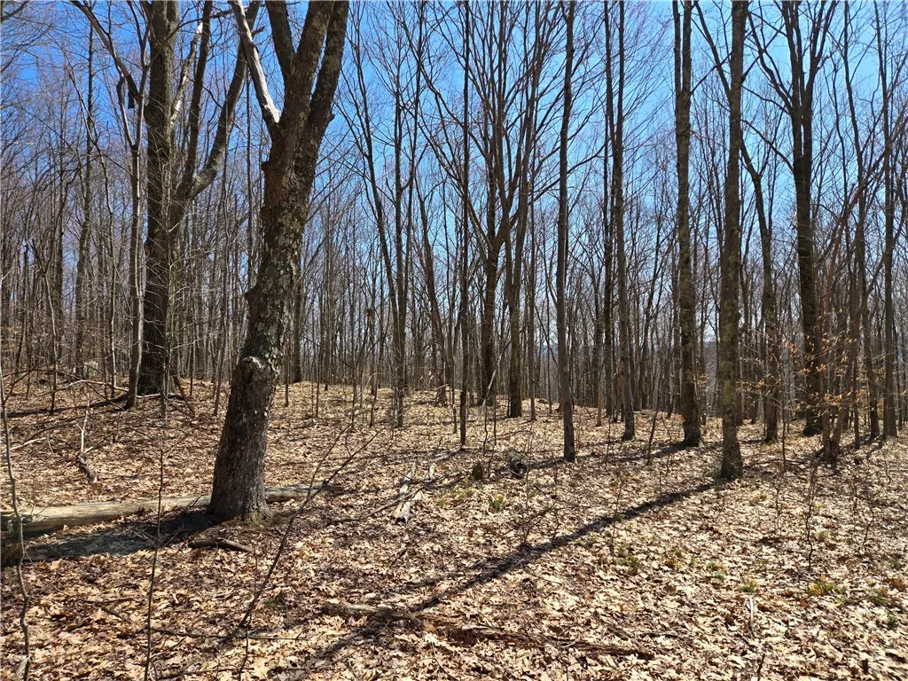 Lot 25 Kara Lane, Bovina, New York 13740, Bovina, New York 13740, ,Land,For Sale,Lot 25 Kara Lane, Bovina, New York 13740,R1602217