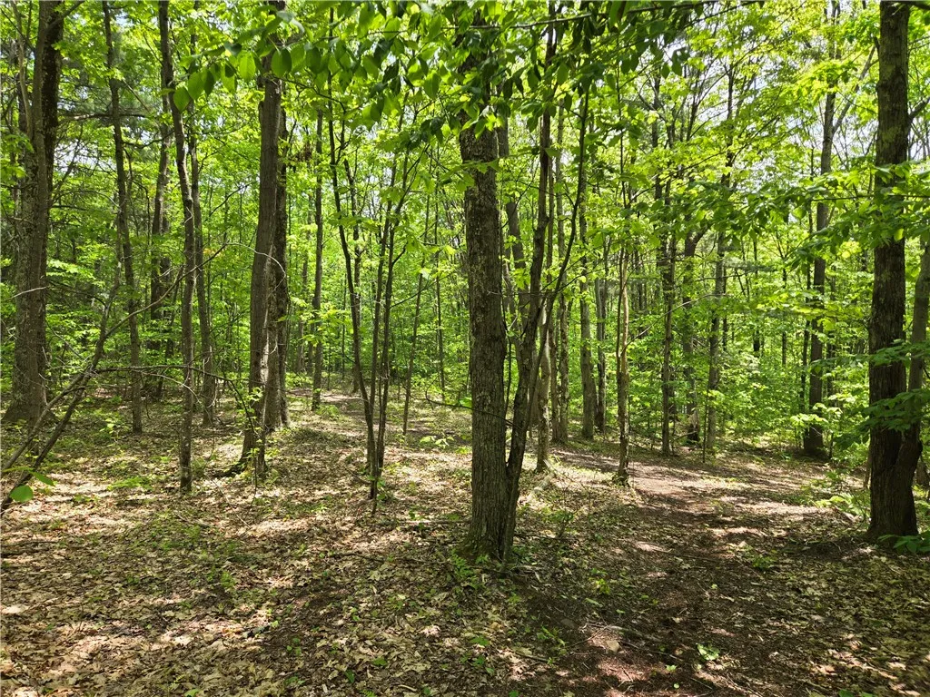 Lot 25 Kara Lane, Bovina, New York 13740, Bovina, New York 13740, ,Land,For Sale,Lot 25 Kara Lane, Bovina, New York 13740,R1602217