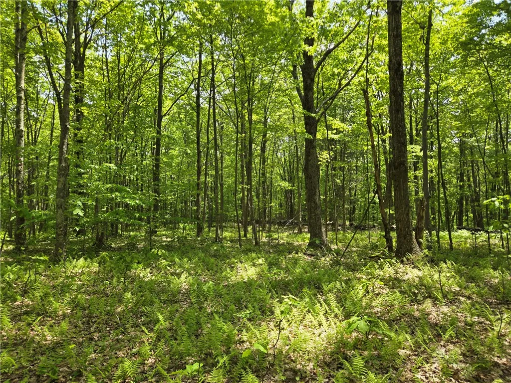 Lot 25 Kara Lane, Bovina, New York 13740, Bovina, New York 13740, ,Land,For Sale,Lot 25 Kara Lane, Bovina, New York 13740,R1602217