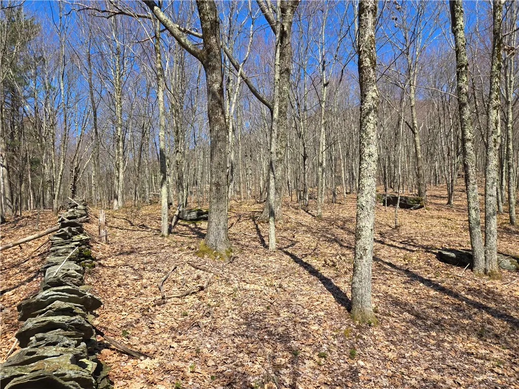 Lot 25 Kara Lane, Bovina, New York 13740, Bovina, New York 13740, ,Land,For Sale,Lot 25 Kara Lane, Bovina, New York 13740,R1602217