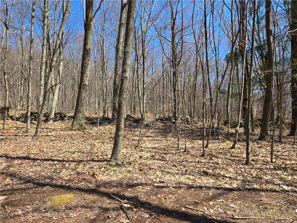 Lot 25 Kara Lane, Bovina, New York 13740, Bovina, New York 13740, ,Land,For Sale,Lot 25 Kara Lane, Bovina, New York 13740,R1602217