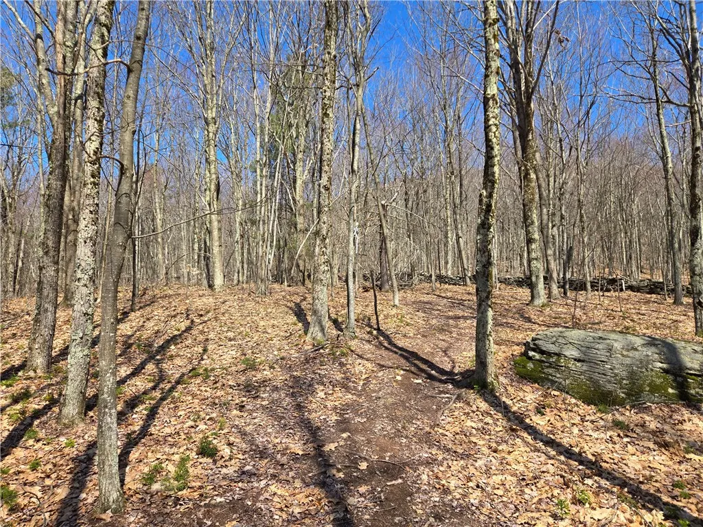 Lot 25 Kara Lane, Bovina, New York 13740, Bovina, New York 13740, ,Land,For Sale,Lot 25 Kara Lane, Bovina, New York 13740,R1602217
