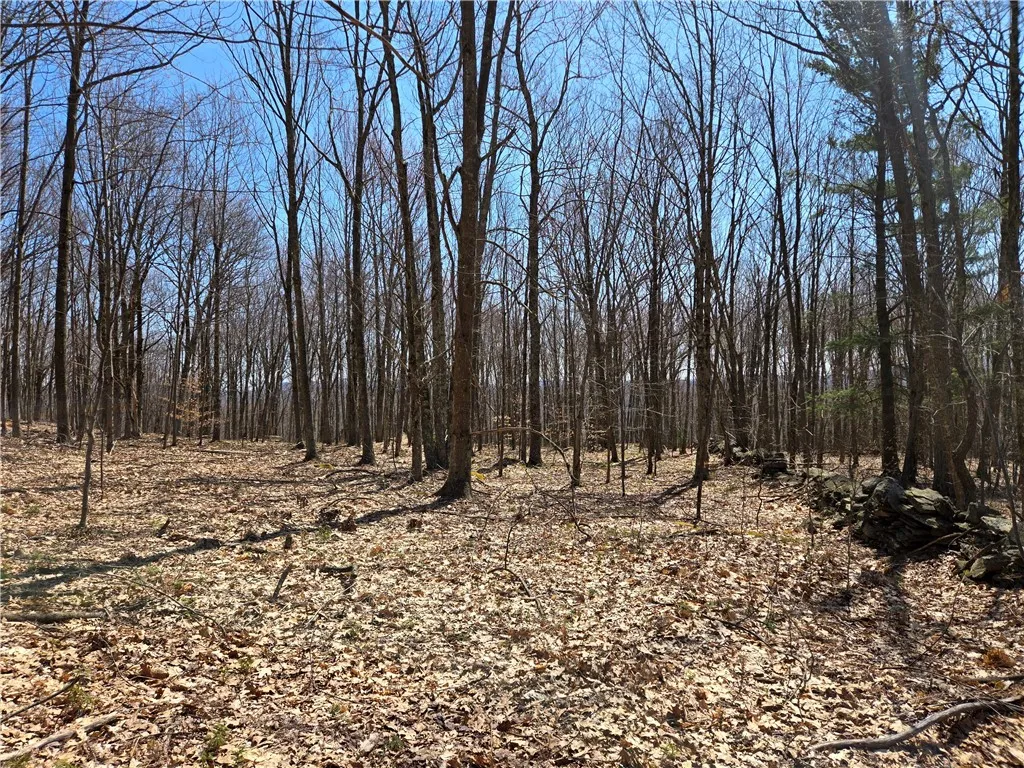 Lot 25 Kara Lane, Bovina, New York 13740, Bovina, New York 13740, ,Land,For Sale,Lot 25 Kara Lane, Bovina, New York 13740,R1602217