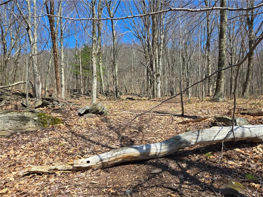 Lot 25 Kara Lane, Bovina, New York 13740, Bovina, New York 13740, ,Land,For Sale,Lot 25 Kara Lane, Bovina, New York 13740,R1602217