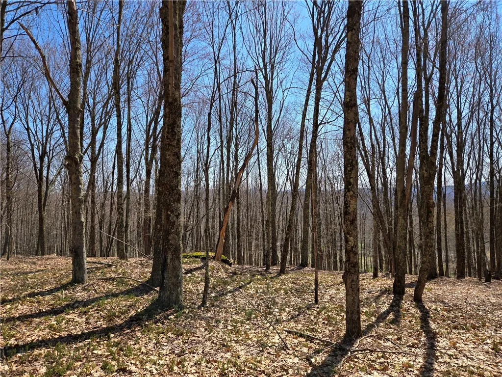 Lot 25 Kara Lane, Bovina, New York 13740, Bovina, New York 13740, ,Land,For Sale,Lot 25 Kara Lane, Bovina, New York 13740,R1602217