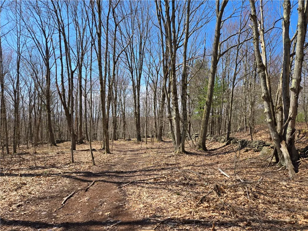 Lot 25 Kara Lane, Bovina, New York 13740, Bovina, New York 13740, ,Land,For Sale,Lot 25 Kara Lane, Bovina, New York 13740,R1602217
