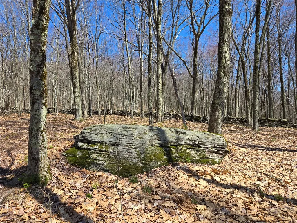 Lot 25 Kara Lane, Bovina, New York 13740, Bovina, New York 13740, ,Land,For Sale,Lot 25 Kara Lane, Bovina, New York 13740,R1602217