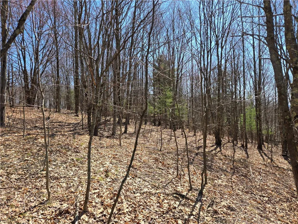 Lot 25 Kara Lane, Bovina, New York 13740, Bovina, New York 13740, ,Land,For Sale,Lot 25 Kara Lane, Bovina, New York 13740,R1602217