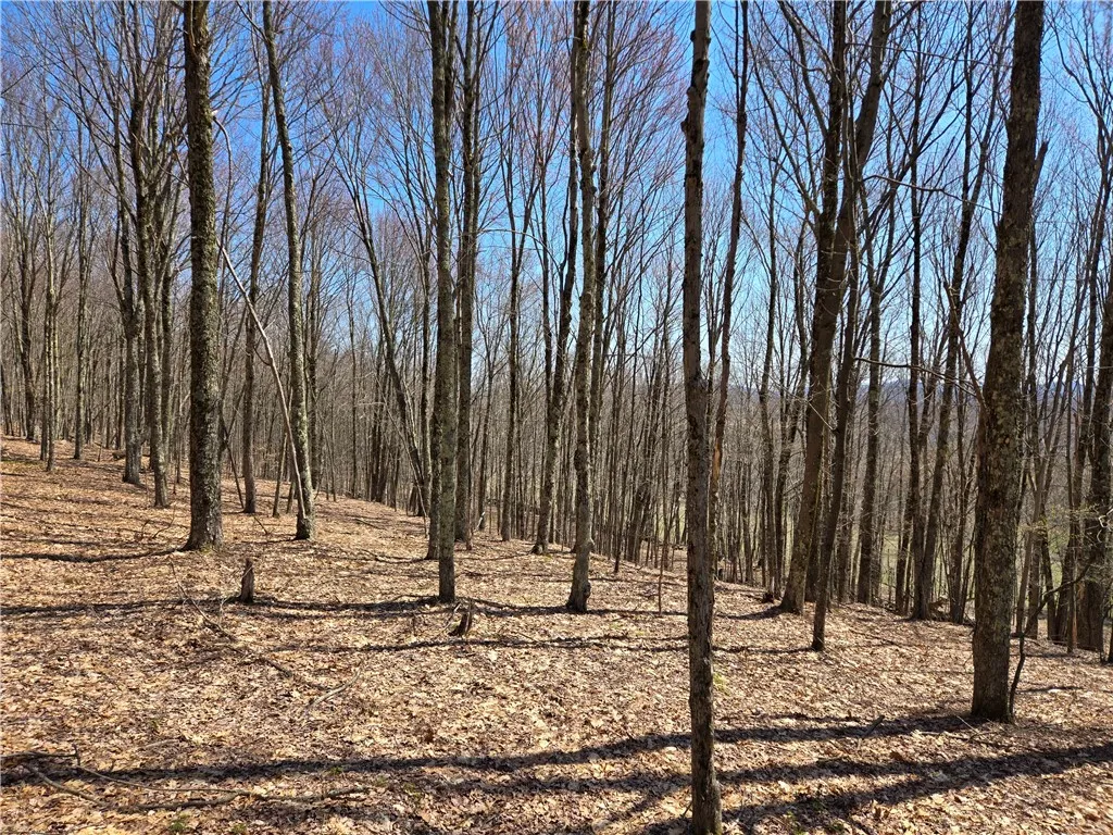 Lot 25 Kara Lane, Bovina, New York 13740, Bovina, New York 13740, ,Land,For Sale,Lot 25 Kara Lane, Bovina, New York 13740,R1602217