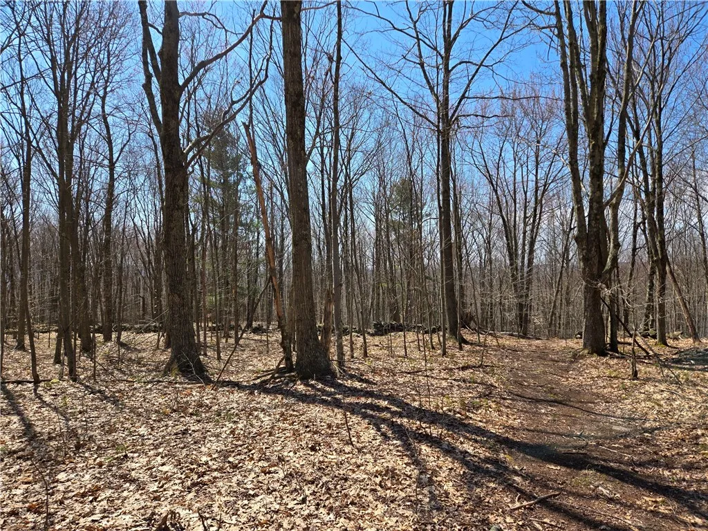 Lot 25 Kara Lane, Bovina, New York 13740, Bovina, New York 13740, ,Land,For Sale,Lot 25 Kara Lane, Bovina, New York 13740,R1602217