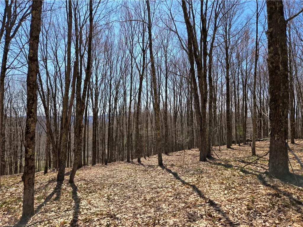 Lot 25 Kara Lane, Bovina, New York 13740, Bovina, New York 13740, ,Land,For Sale,Lot 25 Kara Lane, Bovina, New York 13740,R1602217