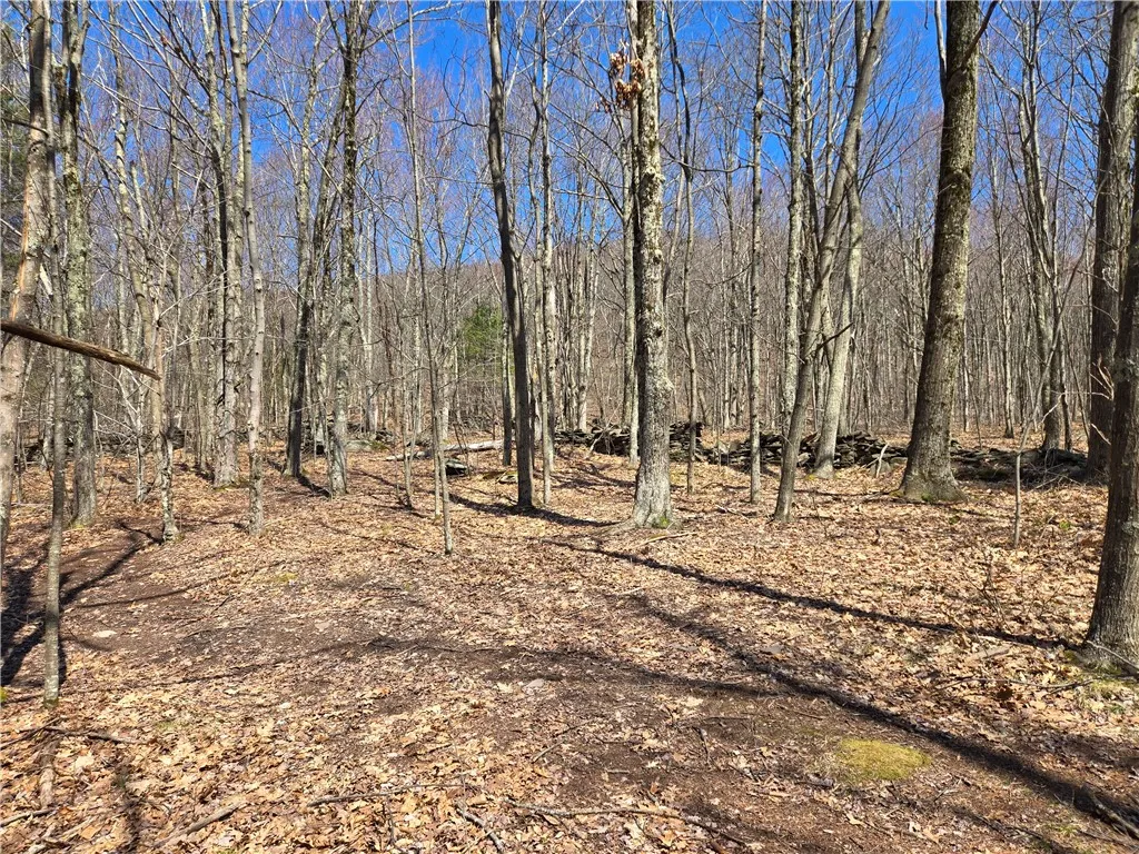 Lot 25 Kara Lane, Bovina, New York 13740, Bovina, New York 13740, ,Land,For Sale,Lot 25 Kara Lane, Bovina, New York 13740,R1602217